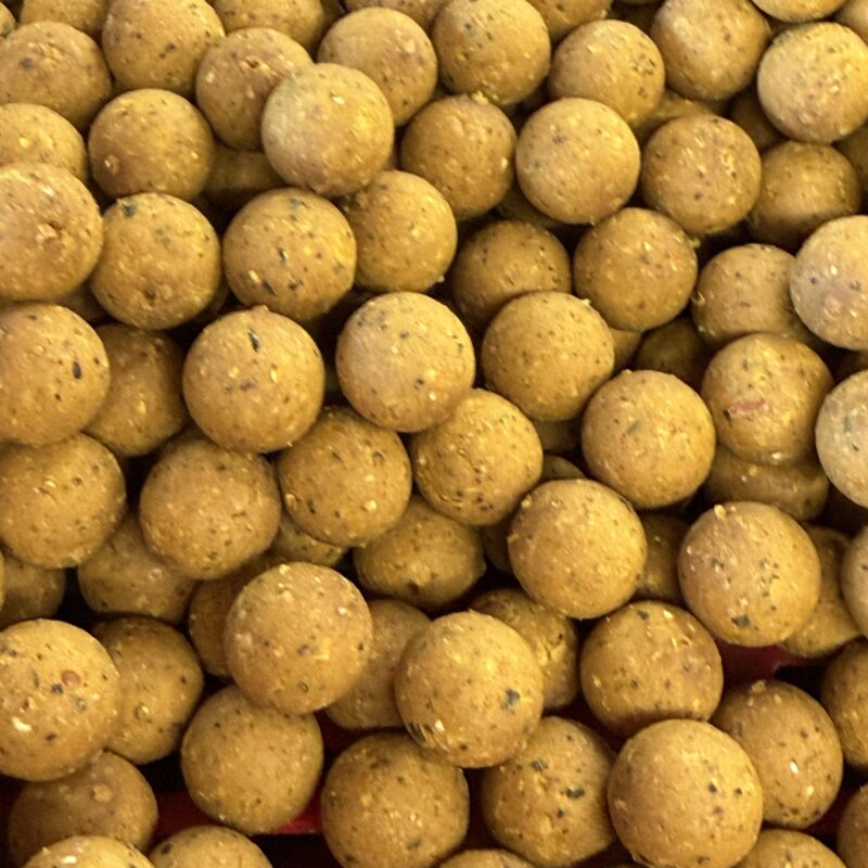 Nutz STP Shelf Life Boilies – 1kg